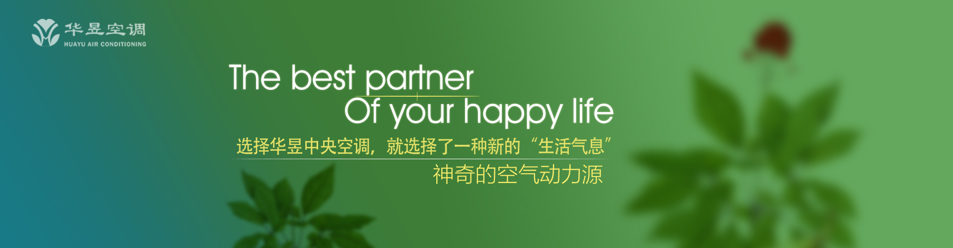 比年不登网